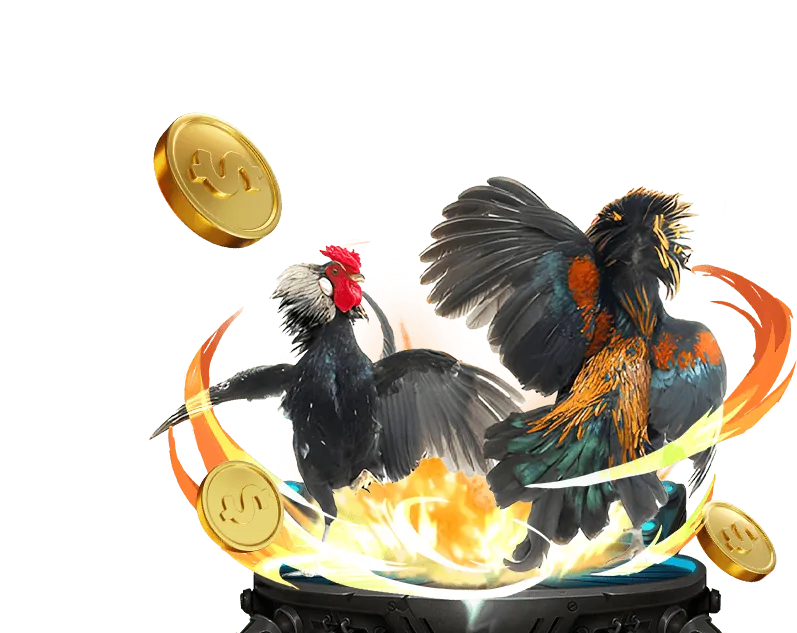 Tổng quan nền tảng nohu666
